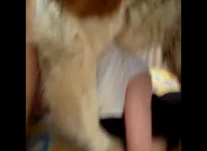 Video: Sexy girl getting banged by dog in force beastiality sex